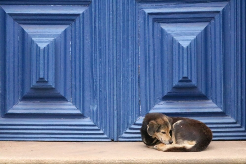 Photograph by Wallace Ribeiro de Jesus