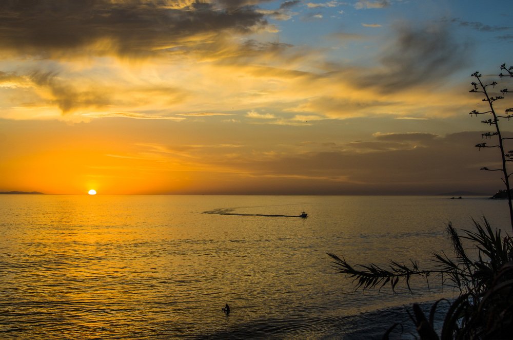 Photograph by Victoria Krasyuk