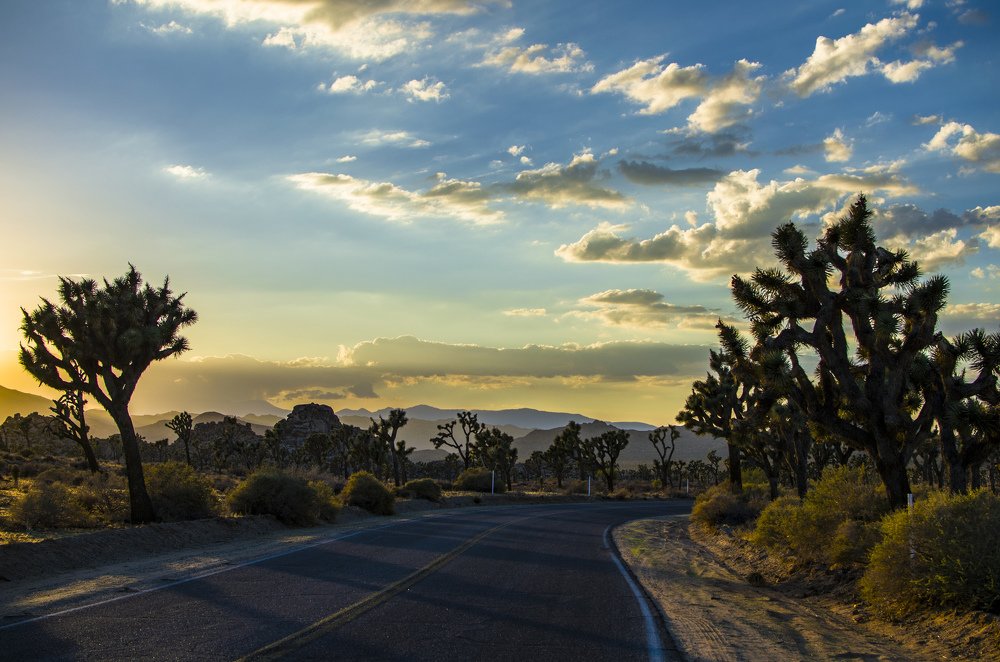 Photograph by Victoria Krasyuk