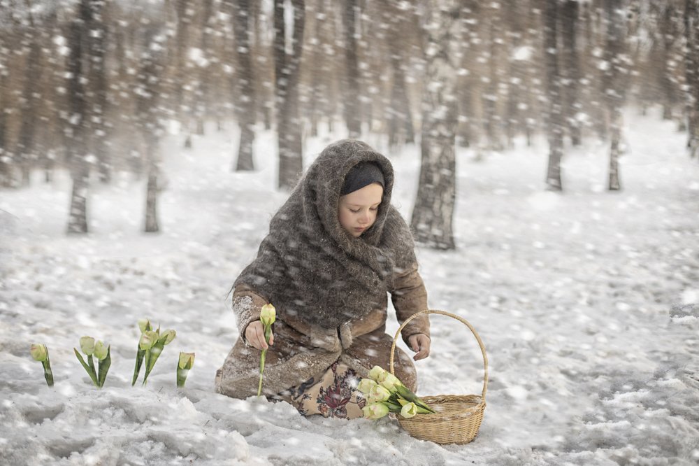 Фотография автора Шутенкова Евгения