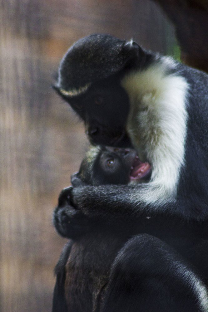 Photograph by Станислав