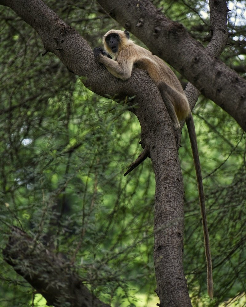 Wow you clicked me...