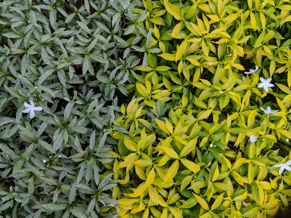 Фотография автора Rajitha Fernando