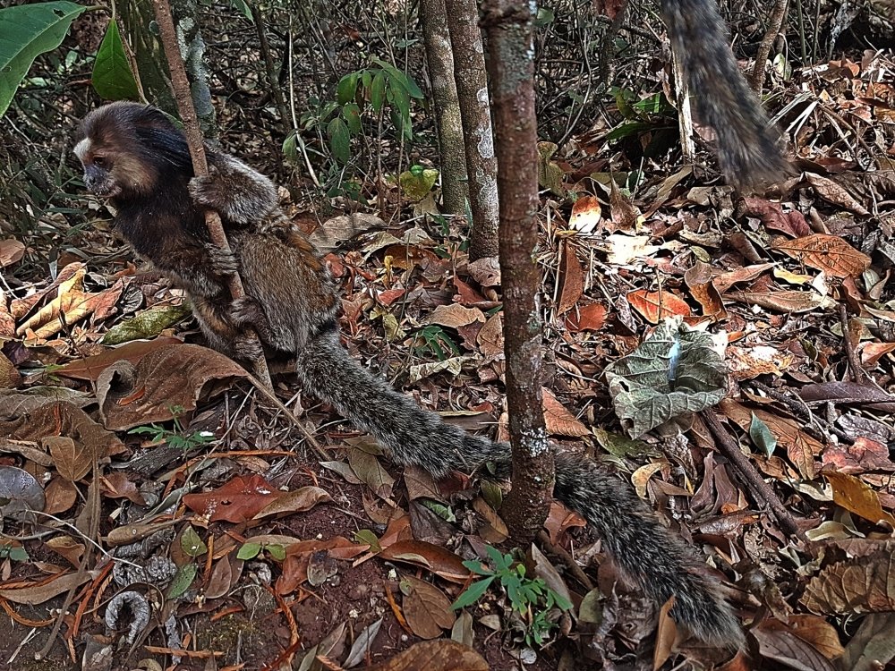 Photograph by Wallace Ribeiro de Jesus