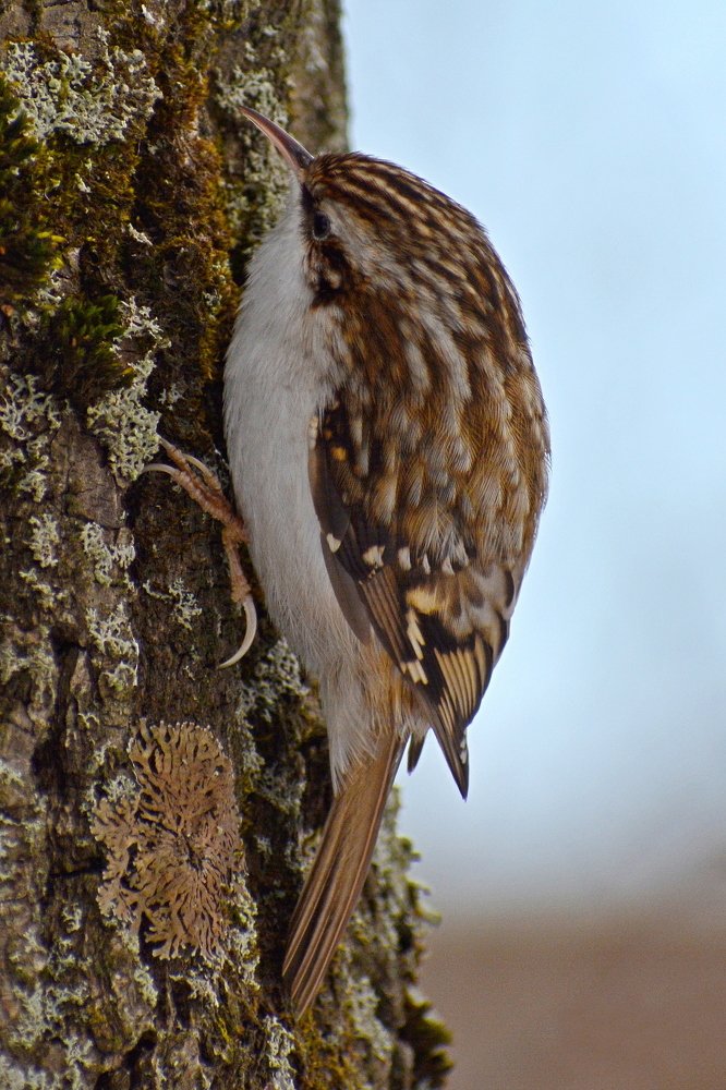Photograph by Владислав Иопек