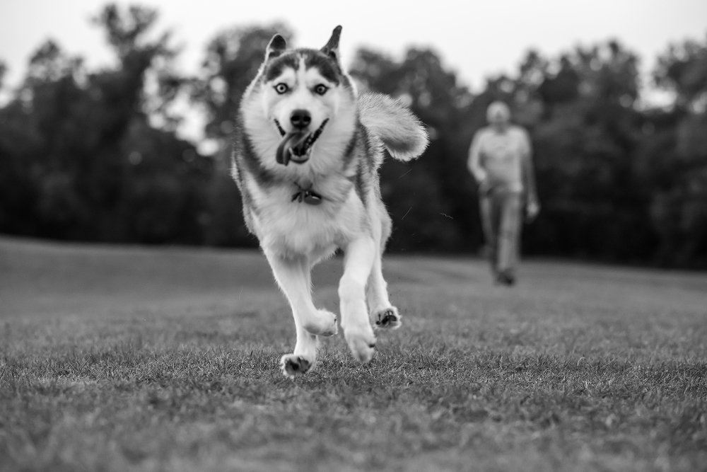 Photograph by Inna Borysevych