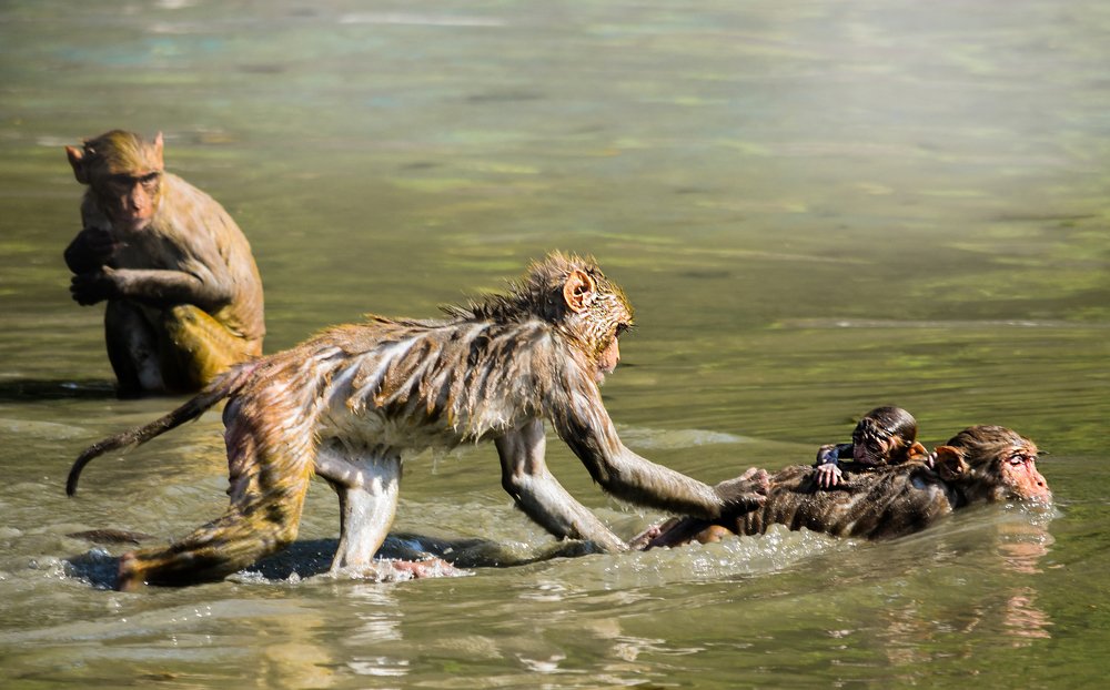 Photograph by LUIS PABLO TRENTIN MACK