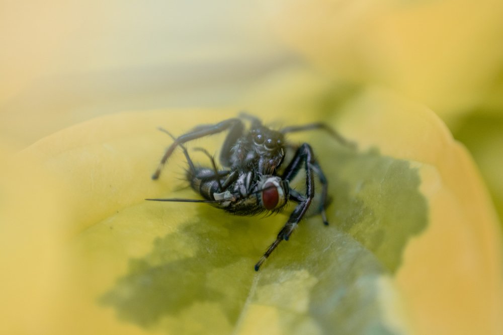 Photograph by sebastian legarda