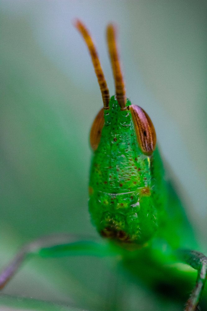 Photograph by sebastian legarda