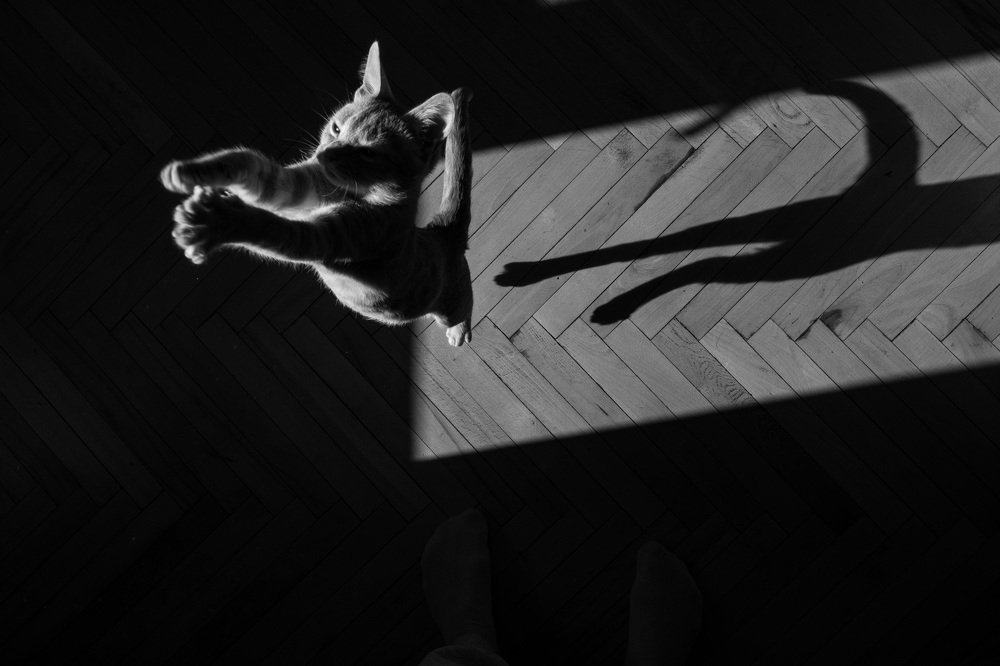 Photograph by Oleg Dudko