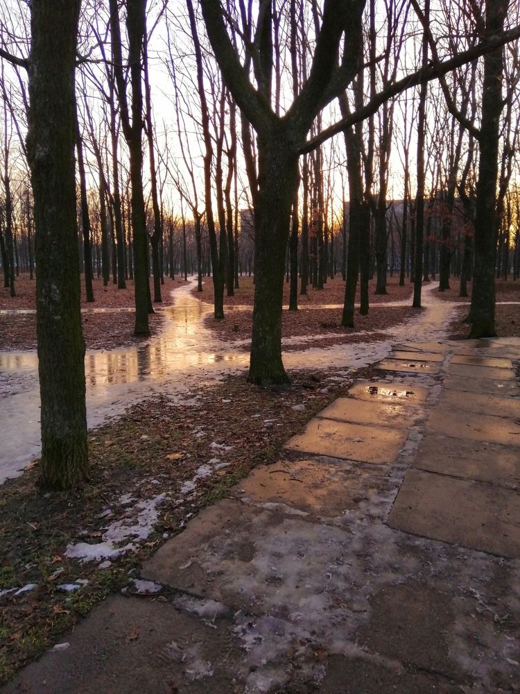 Photograph by Татьяна Коломийчук