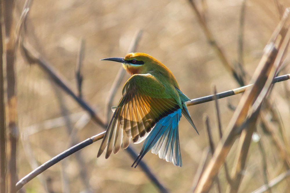 Photograph by Prasad Kn