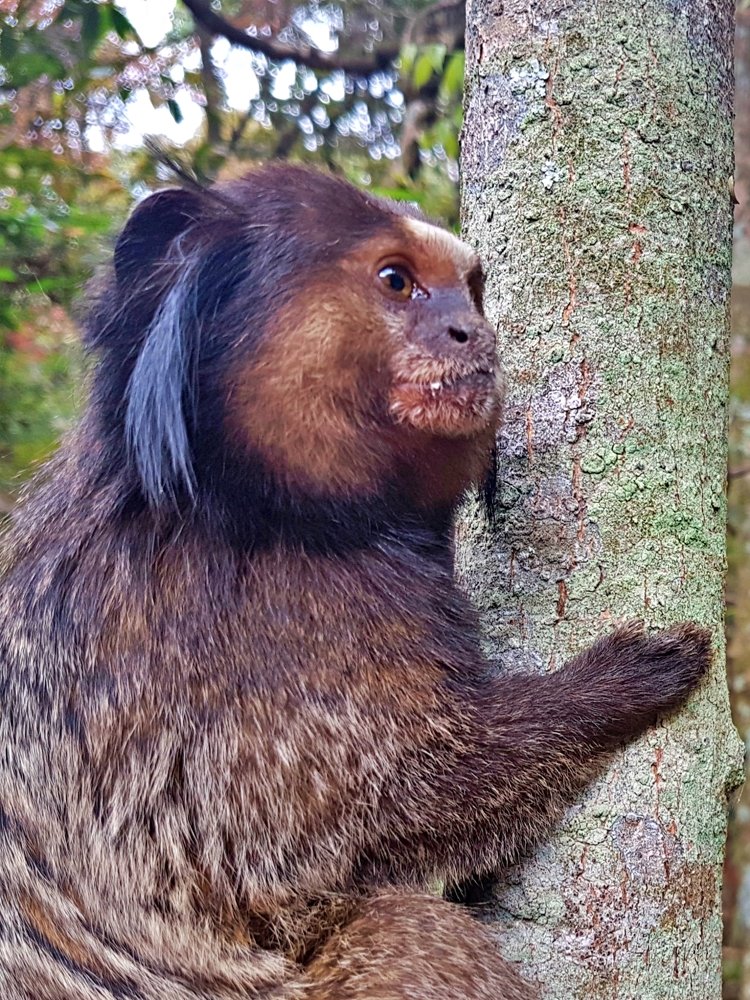 Photograph by Wallace Ribeiro de Jesus