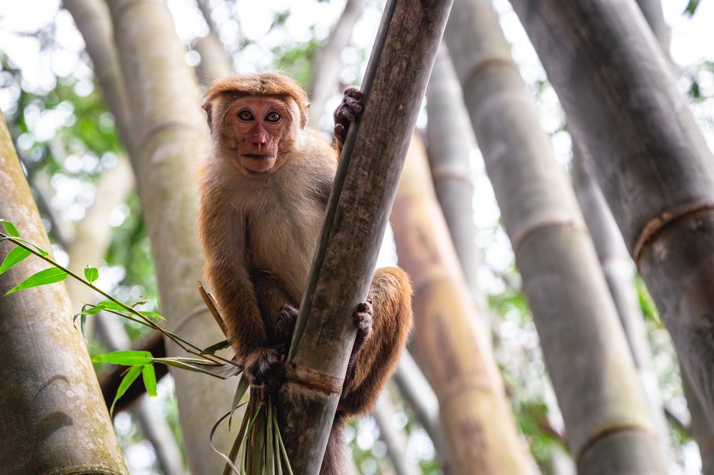 Photograph by Андрей