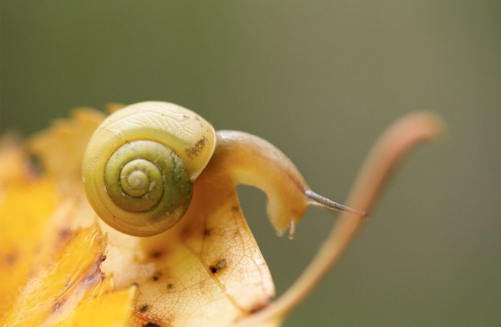 Photograph by Александра Печёнкина