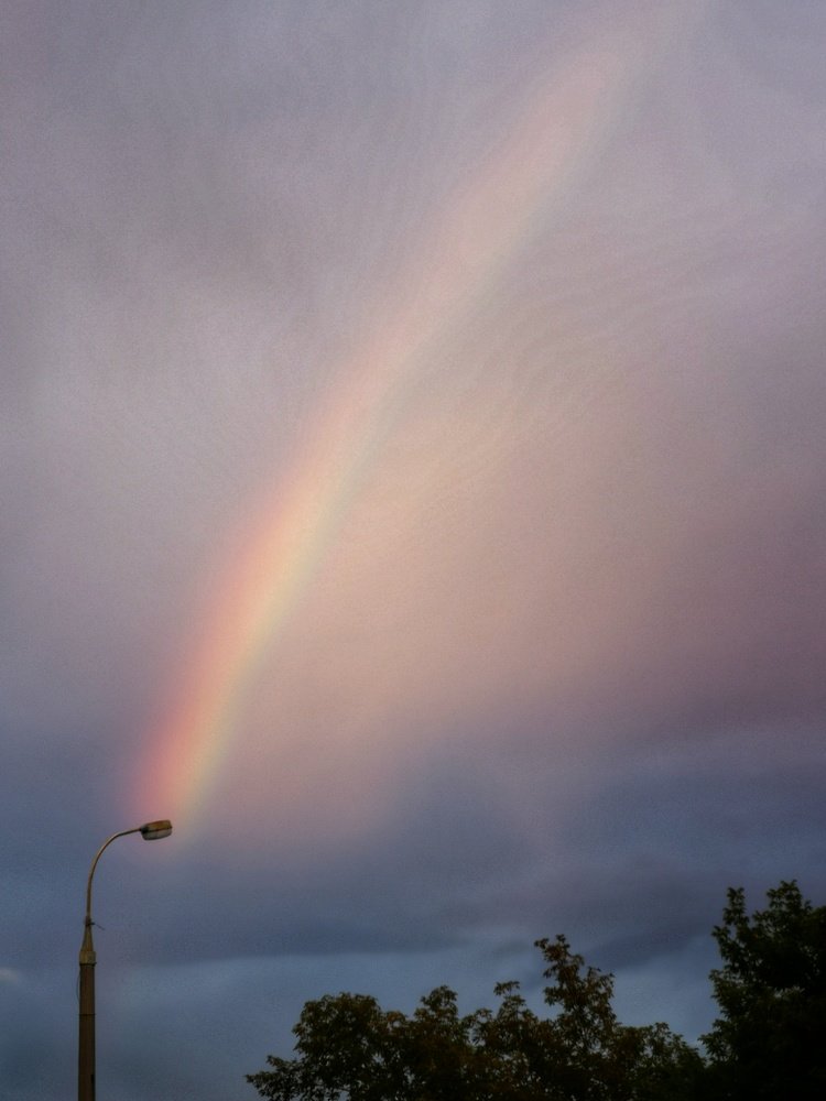 Photograph by Максим Сгибнев