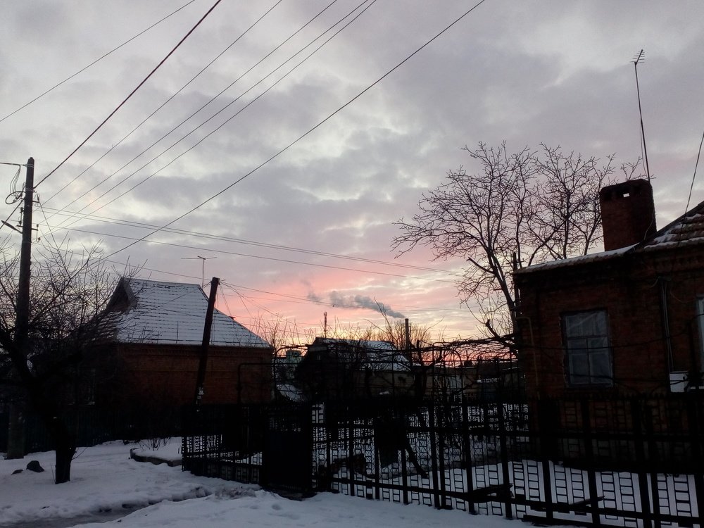 Photo #4228607