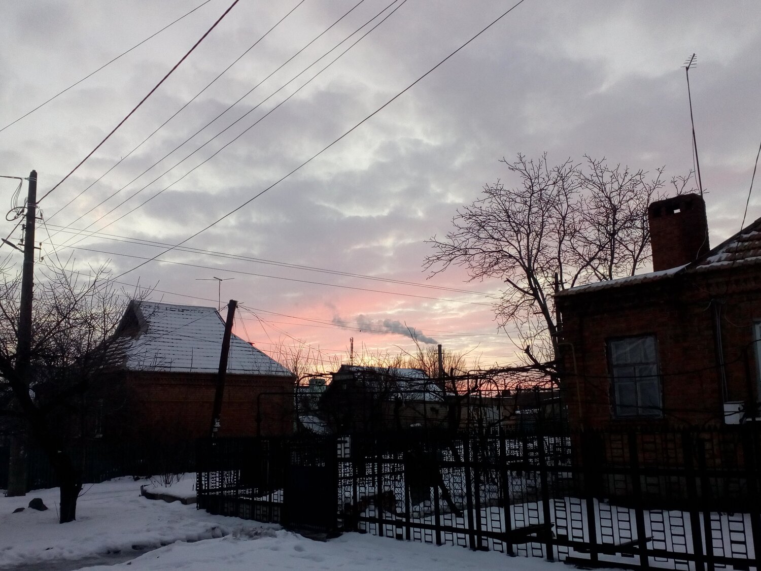 Photo #4228607