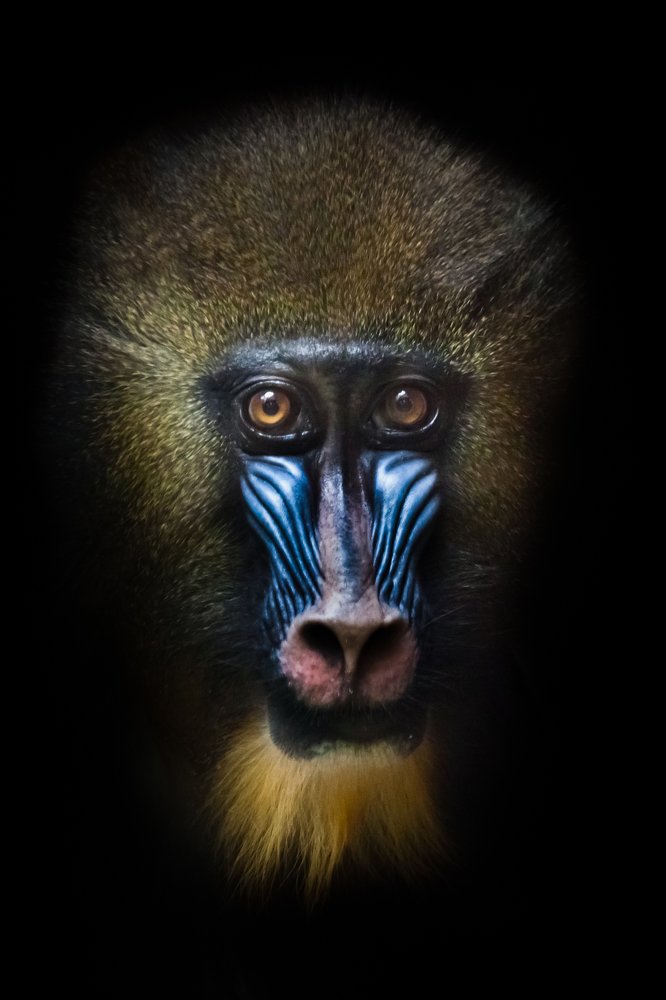 Photograph by Михаил Семенов