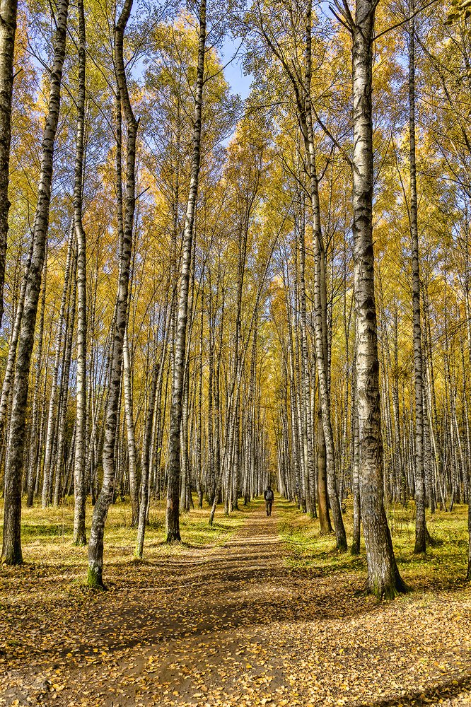 Photograph by Александр Викторович