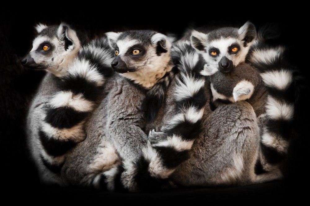 Photograph by Михаил Семенов