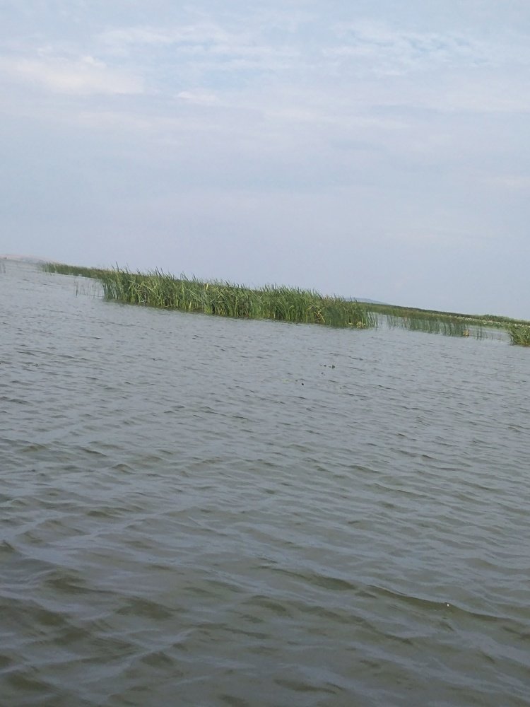 Загадай желание