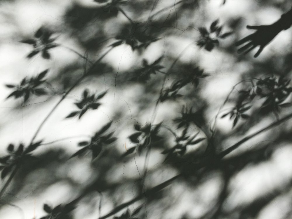 Photograph by Яна Динова