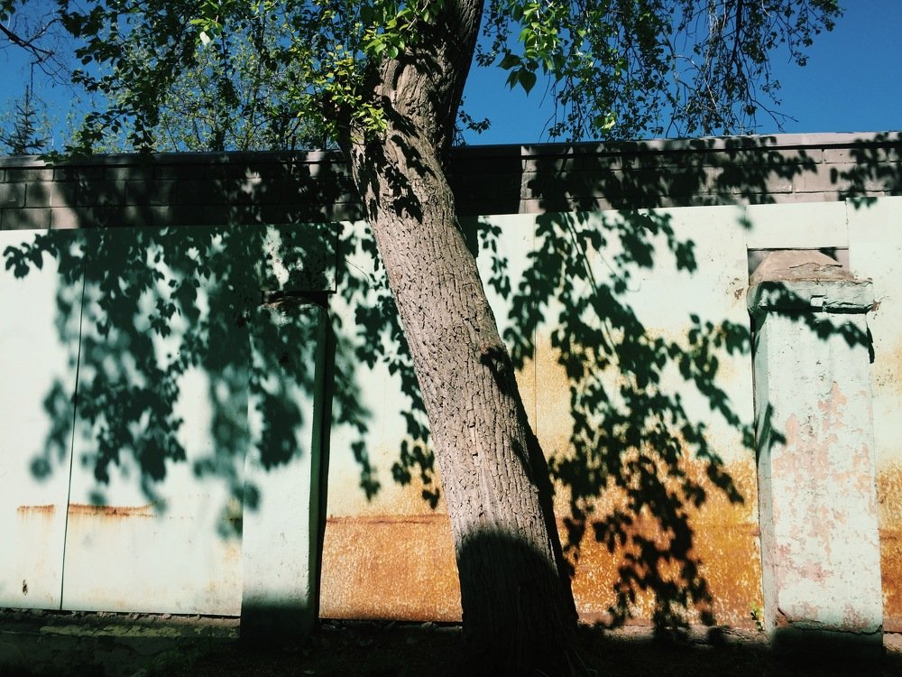 Photograph by Яна Динова