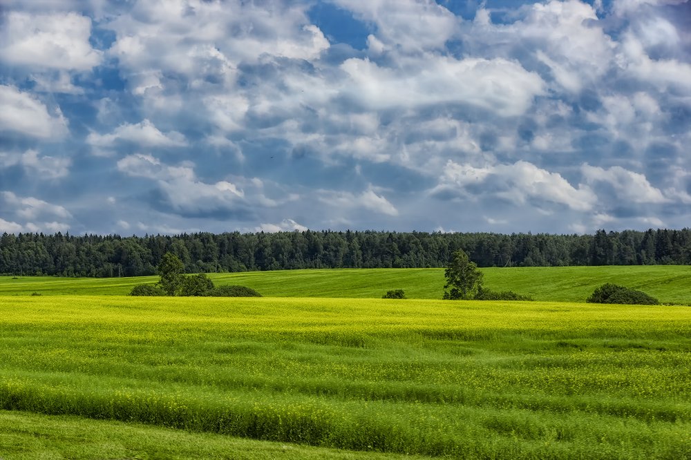 Photograph by Александр Викторович