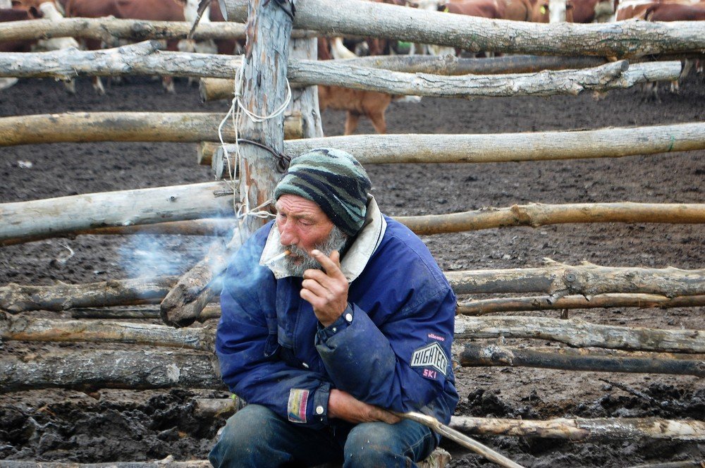 Пастух скотовод.