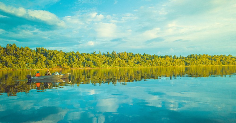 Photograph by Александр Джуманазаров