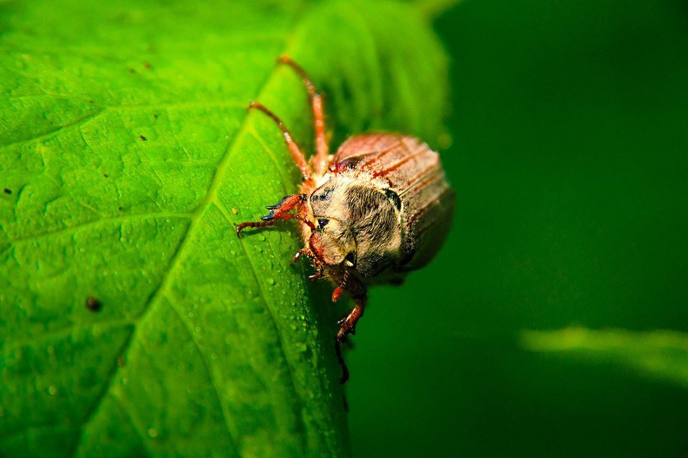 Photograph by Алексей Харламов