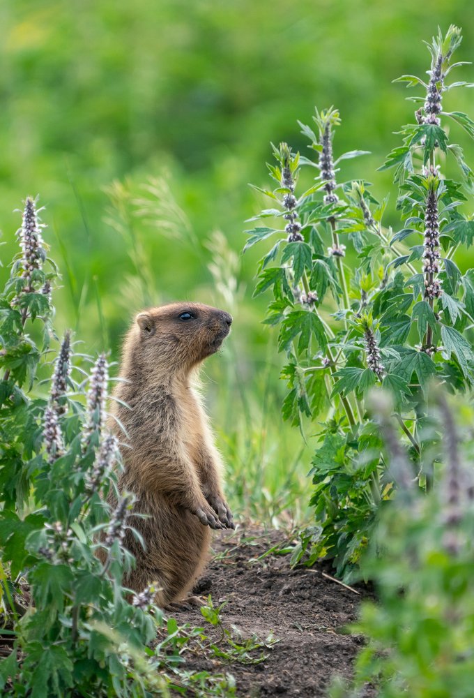 Photograph by Константин Дэм