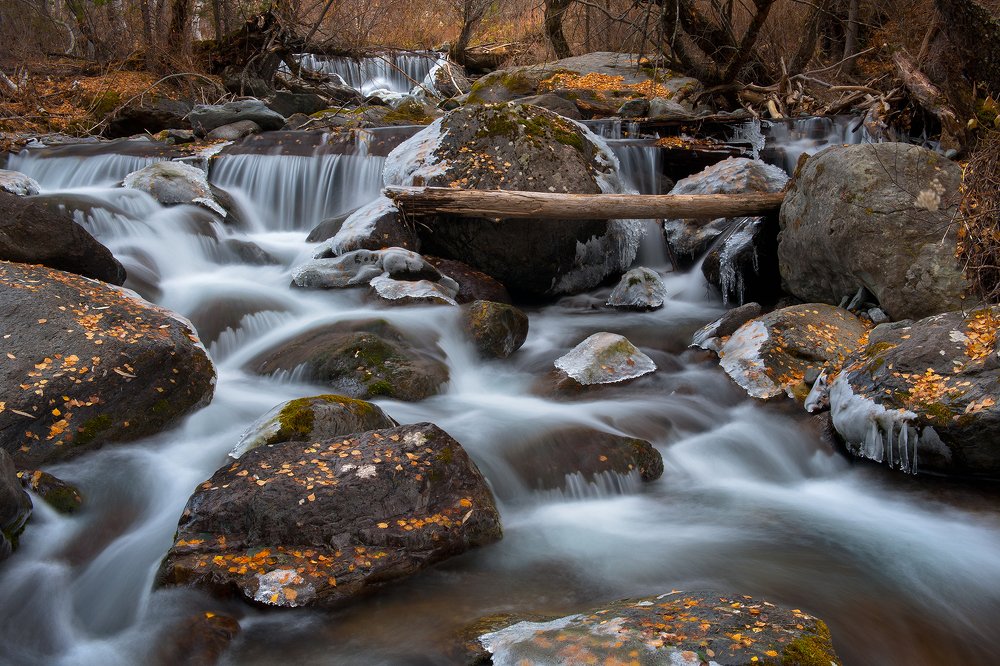 Photograph by Евгений Санин