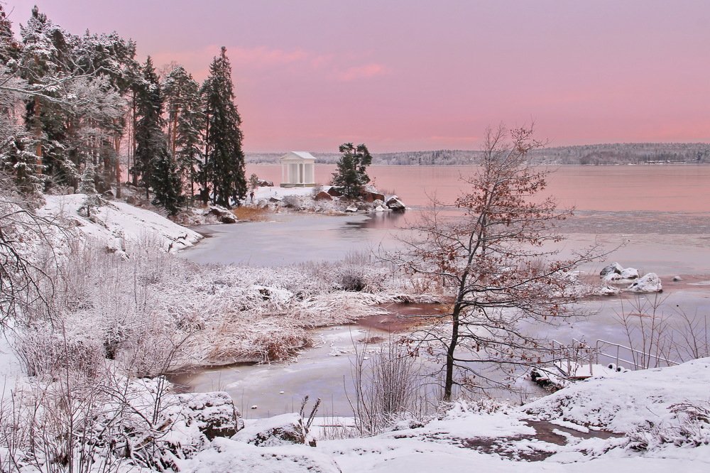 Photograph by Александр Алабушев