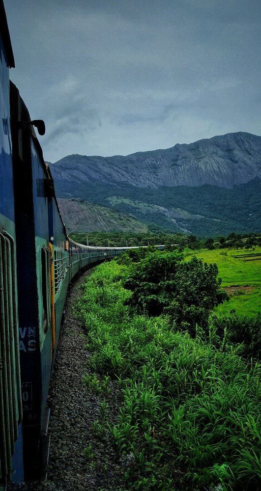 Life and travel