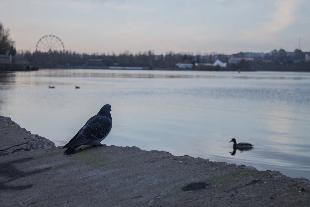 Photograph by Ольга Тверских