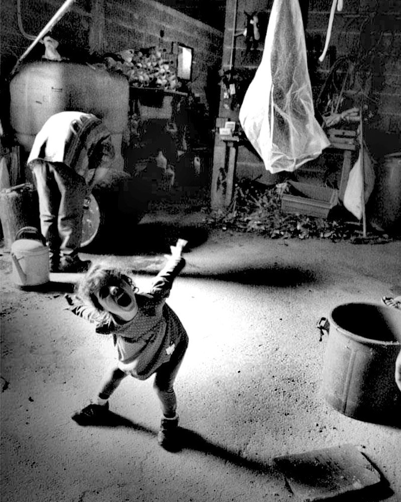 Photograph by Telmo Simões