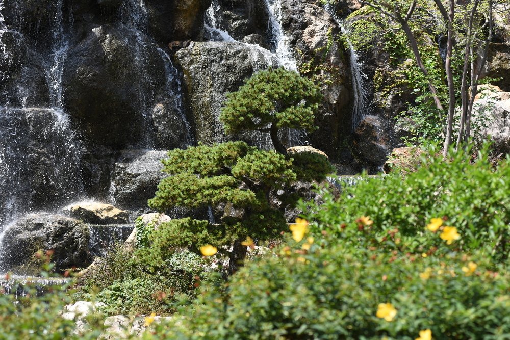 Photograph by Семен Батов