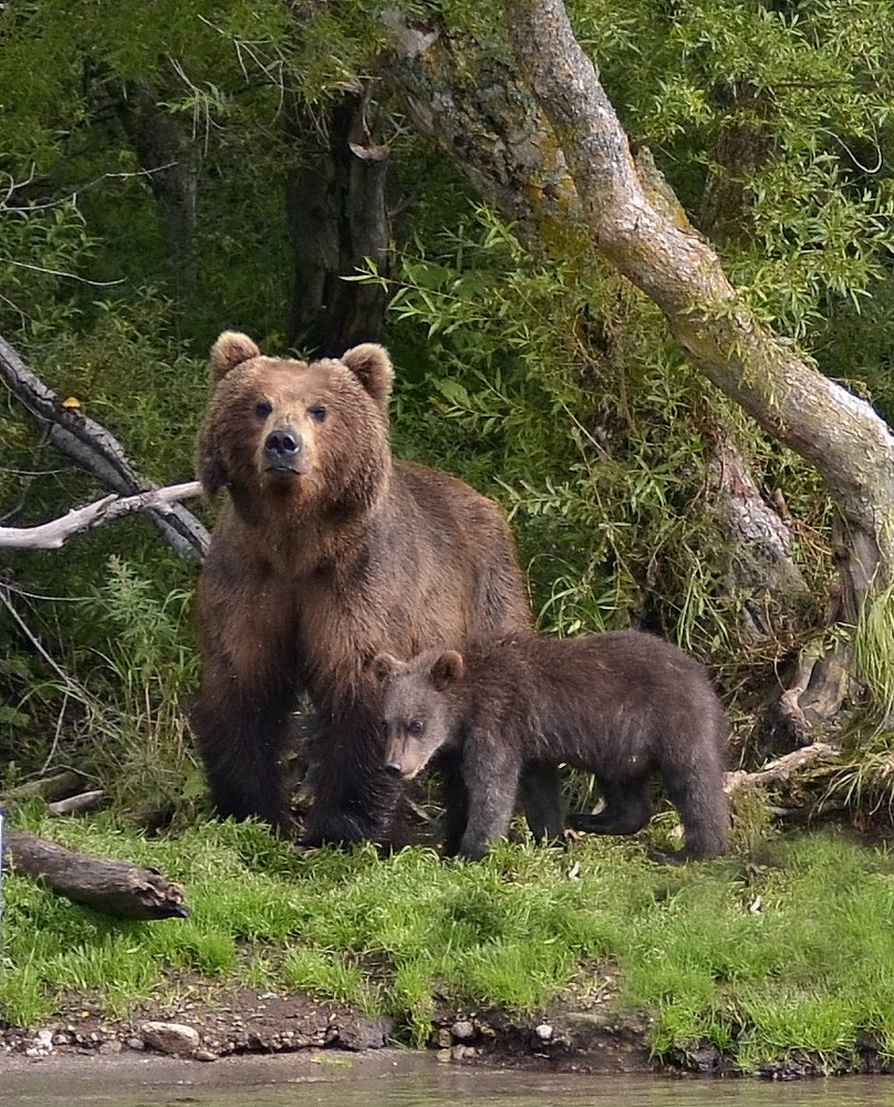 Фотография на память.