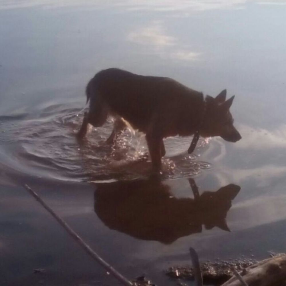 Photograph by Руслан Шайхутдинов