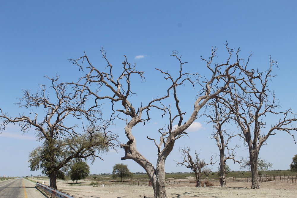 Photograph by Tebogo Gwafila