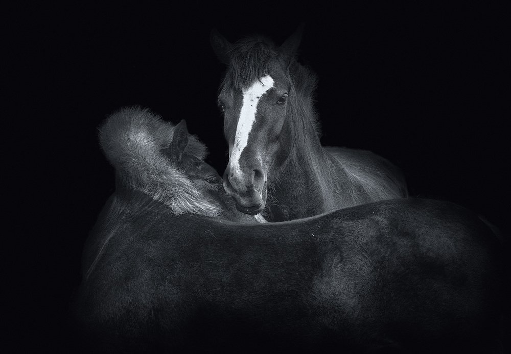 Photograph by Тамара Андреева