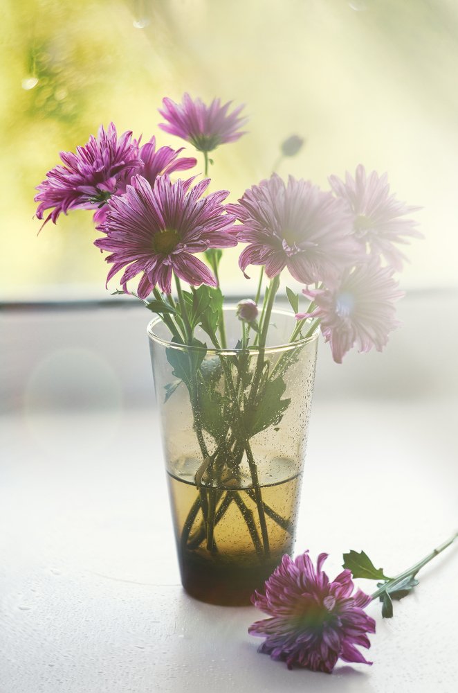 Photograph by Иван Волк