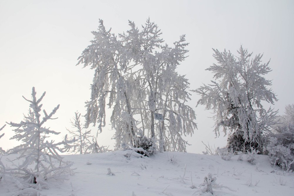 Photograph by Вадим Басов