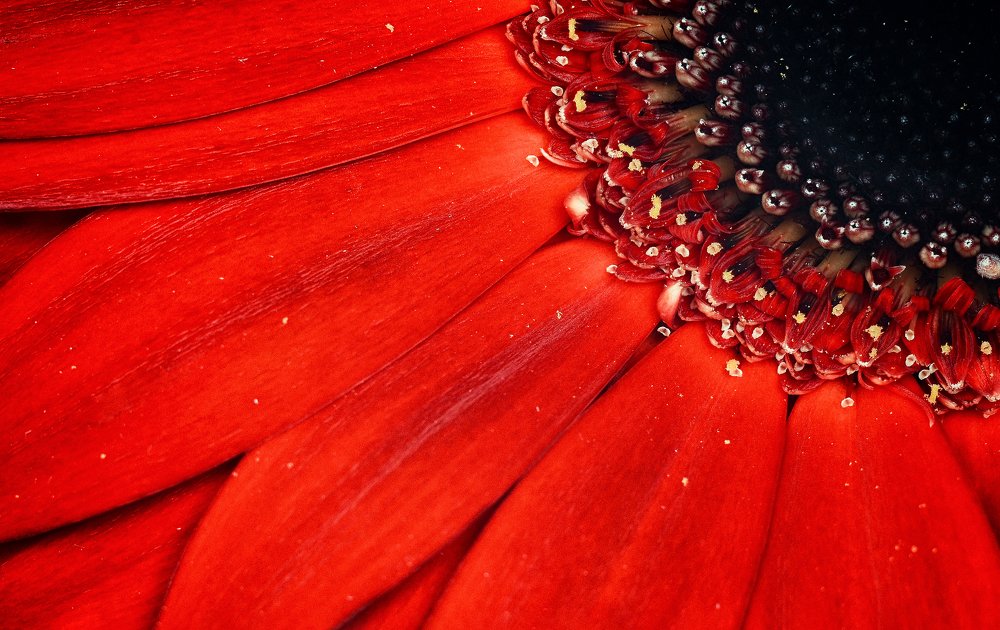 Photograph by Иван Волк