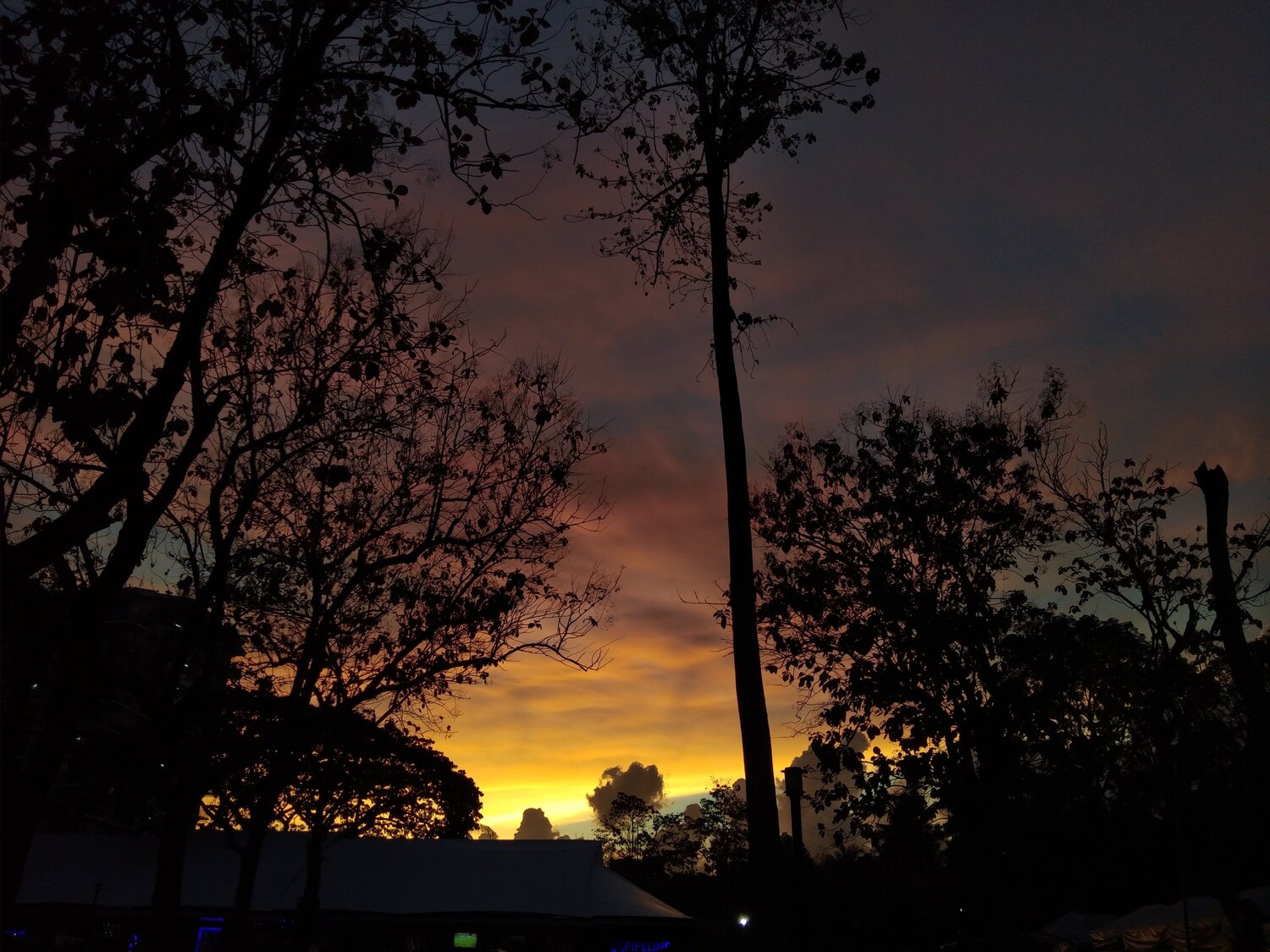 Sunset in the city