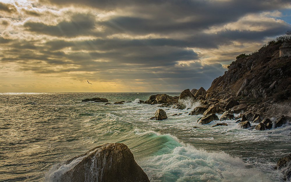 Photograph by Александр Пушкарев