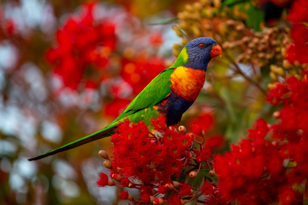 Photograph by Natalia Kudriavceva