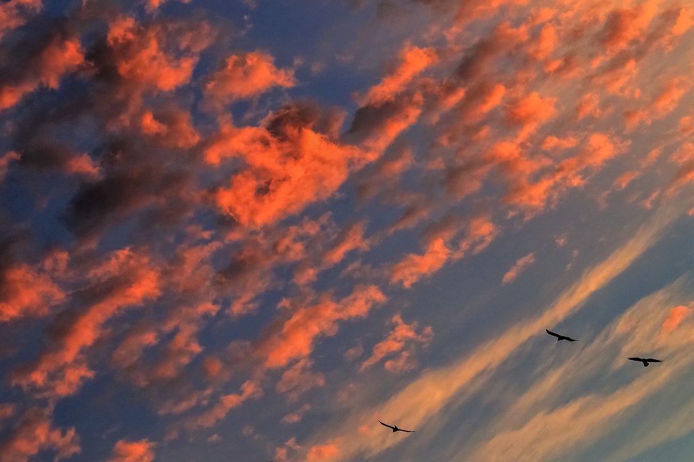 Photograph by Ирина Горюкина